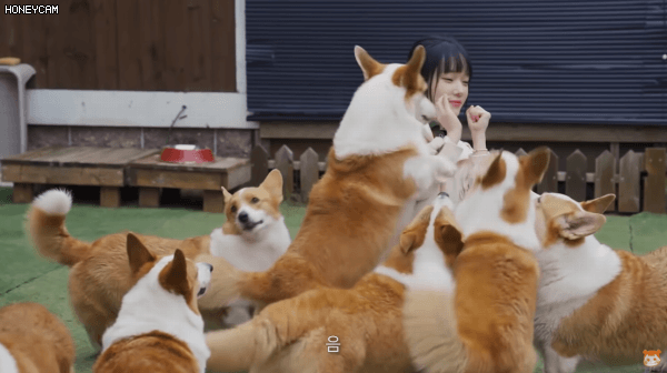 Image 942