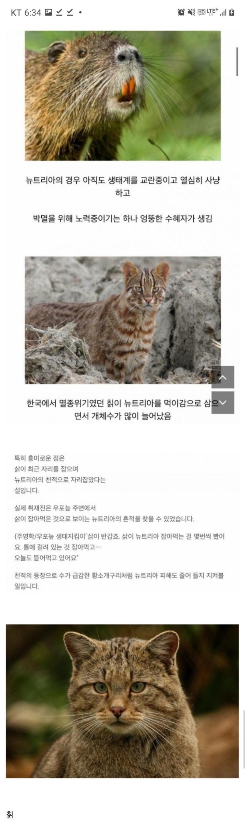 16150170331541.jpg