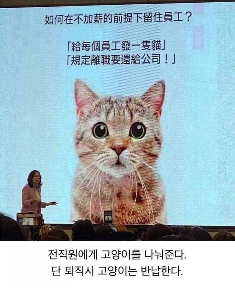 16218332332879.jpg