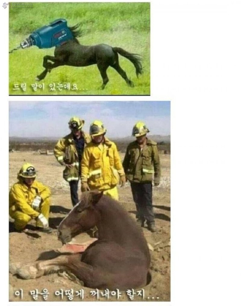 169476001147.jpg