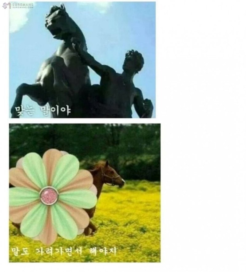 16947600163748.jpg